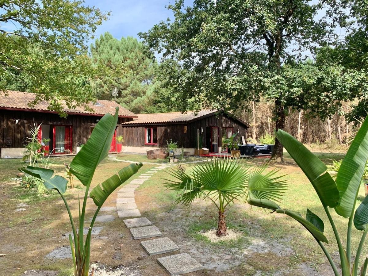 House De La Canopee, Swimming Pool, Lake, Forest, Large Garden And Wifi Hourtin Exterior foto